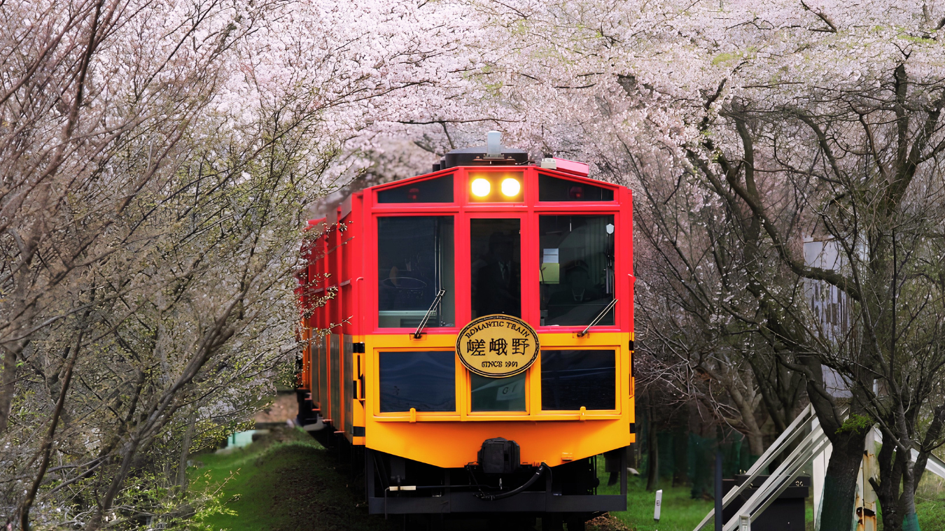 Sagano Romantic Train in Kyoto in Spring cherry blossom season