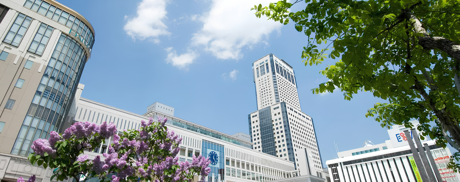 Sapporo JR Tower Hotel