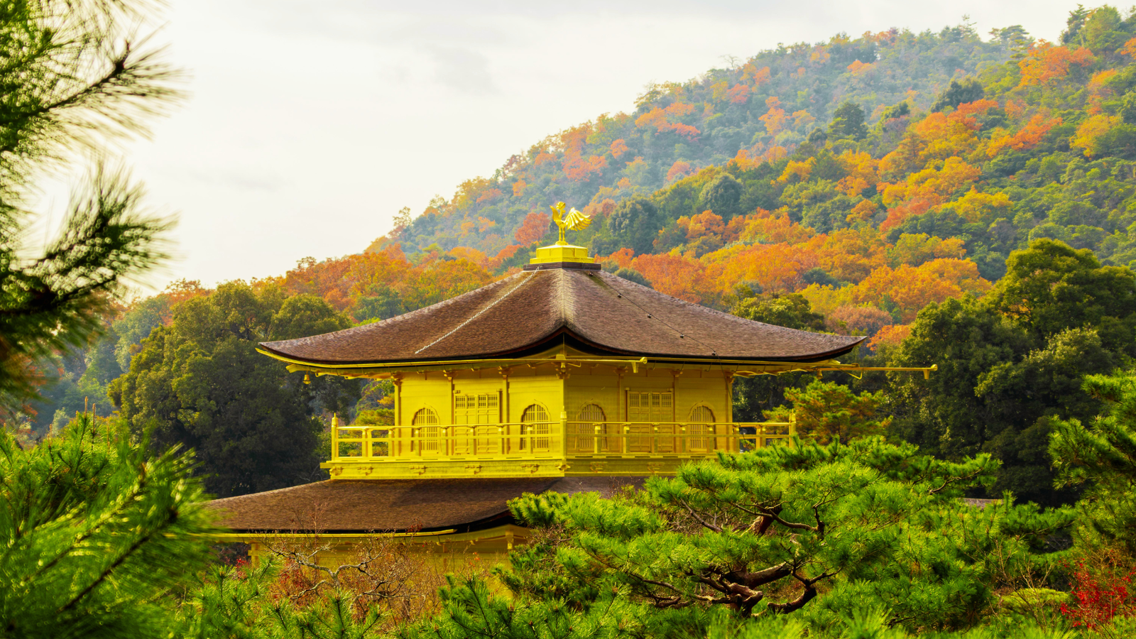 Kinkakuji Temple in Kyoto in autumn