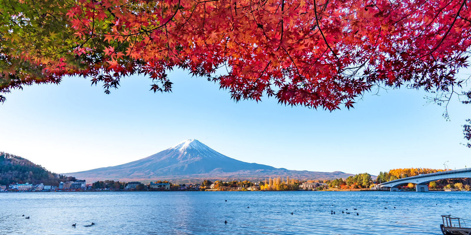 Lake Kawaguchiko and Mt Fuji in fall season